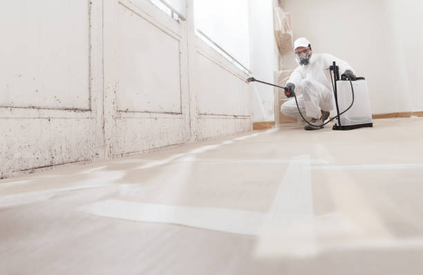 24/7 Emergency Black Mold Remediation experts in Allentown, PA